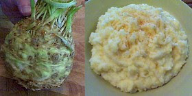 carb agency to fox out your measure mashed potatoes Celery Root too Potato Puree – How tin a vegetable this ugly gustation then good?