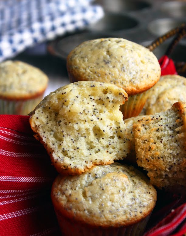 [poppyseed_02.JPG]
