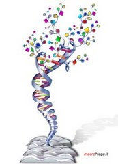 Coriandoli Nel DNA