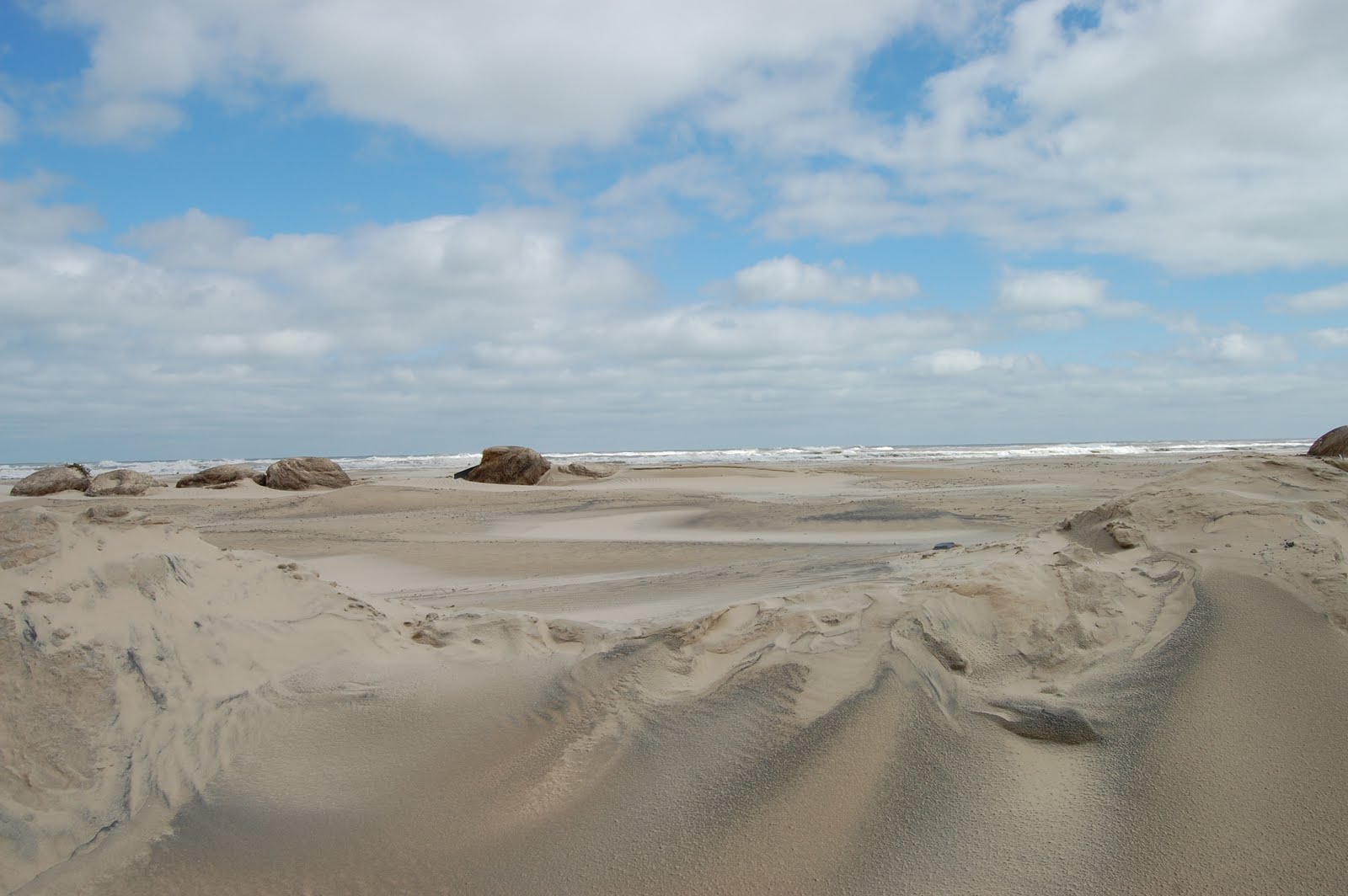 [DSC_0059.JPG]