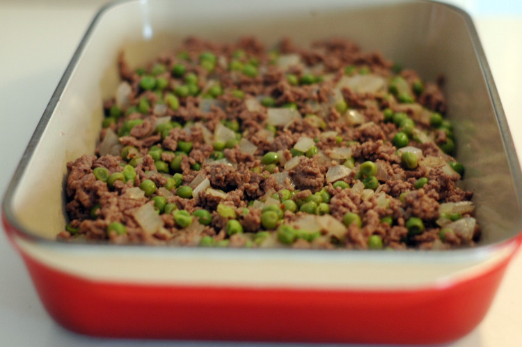 [meat+in+baking+pan.jpg]