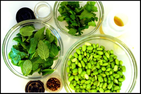 [mint+parsley+edamame.jpg]