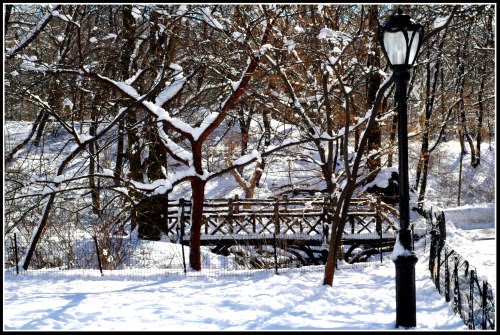 [winter+central+park+nyc.jpg]