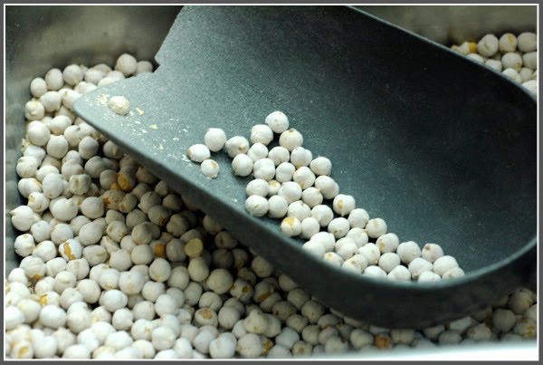 [dried+beans+italy.jpg]