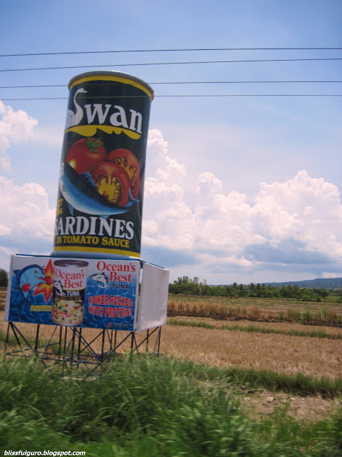Mt Isarog Consocep Camarines Sur Mt Isarog Consocep Camarines Sur