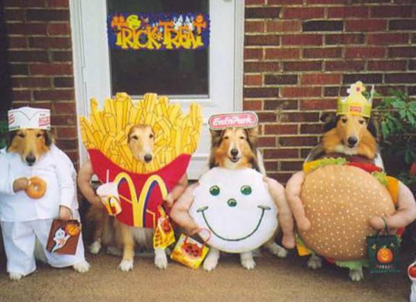 funny pictures of dogs in costumes. Images Of Dogs In Costumes.