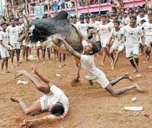 [manju+viratu+1.jpg]