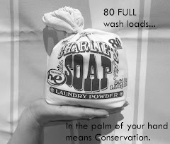 Charlie's Soap