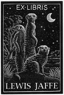 [Meercats.jpg]