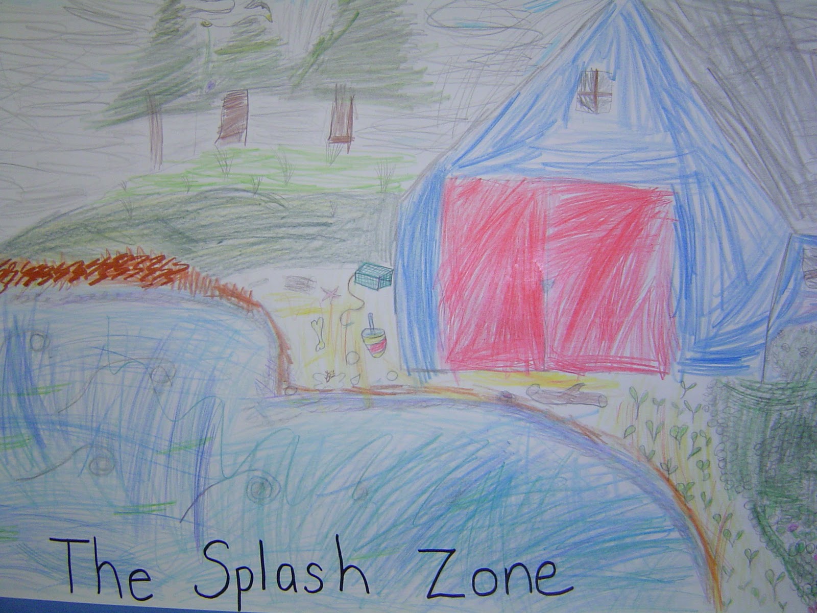 Intertidal Zone Drawings