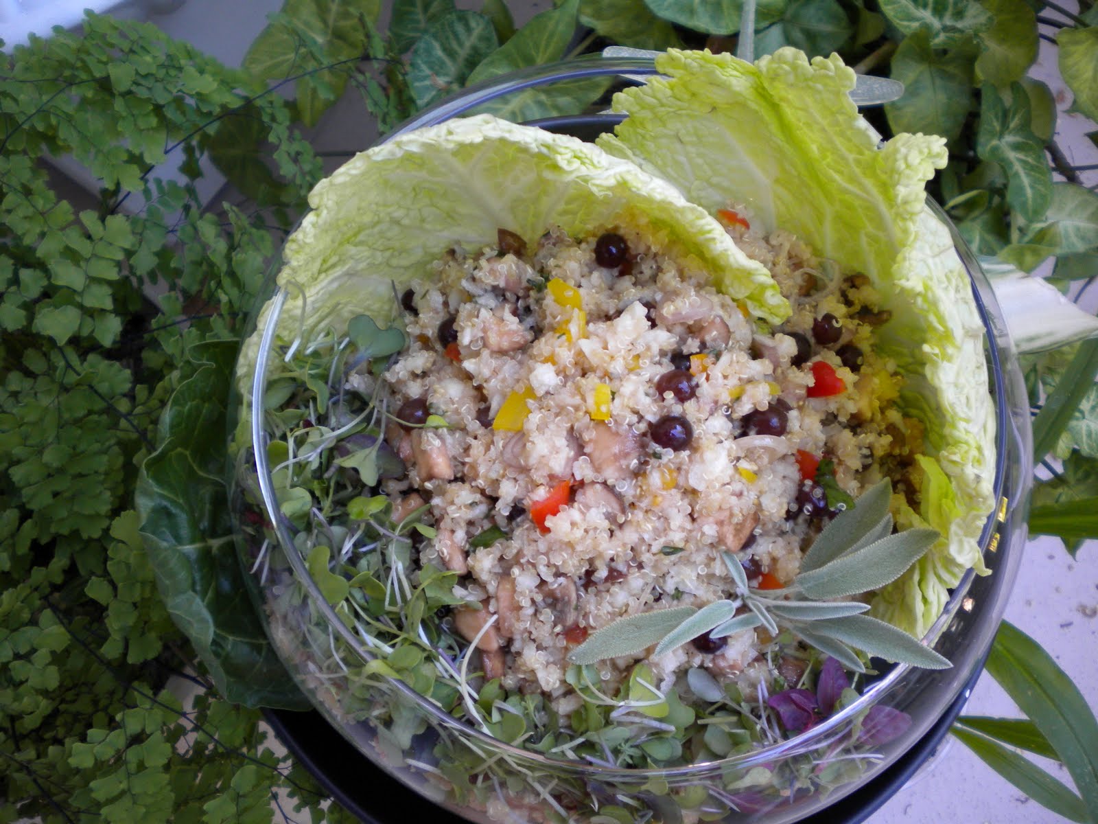 Self Healing Cuisine eating for optimal health Jicama "Rice" and