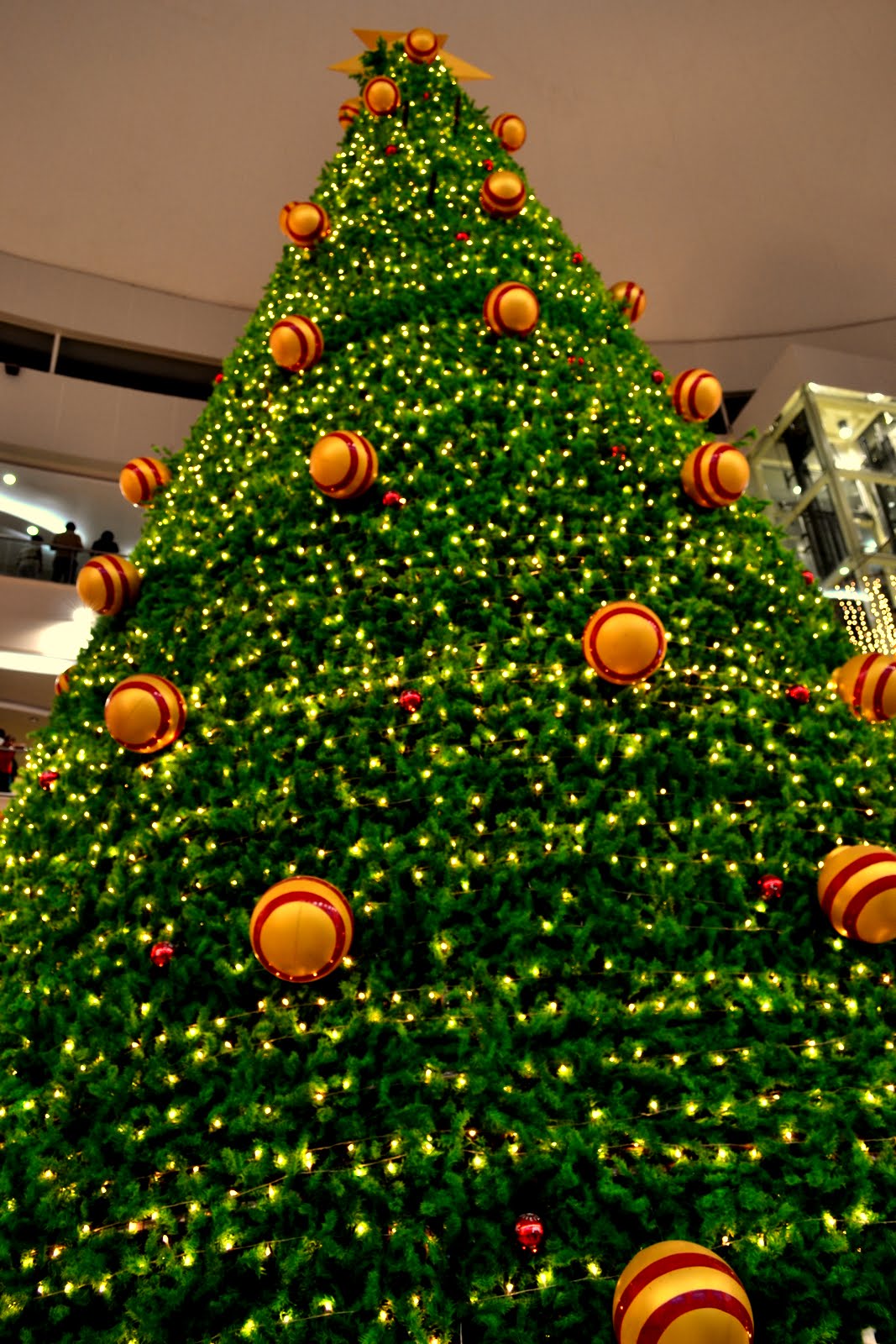 The Light Capturer Arun Kumar V Christmas tree, 2010, Express