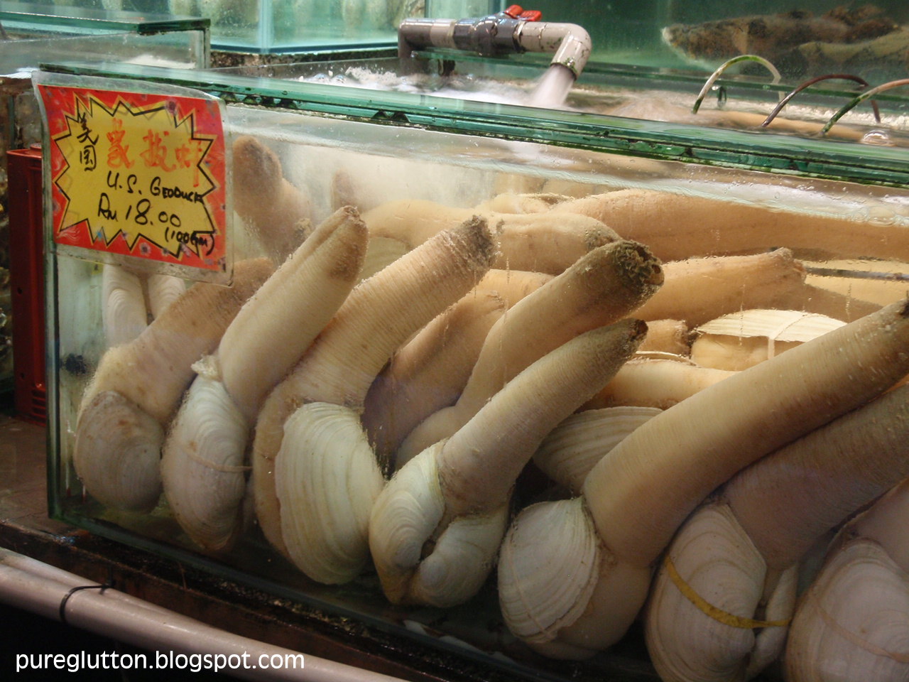 [PenangAug09+031.jpg]