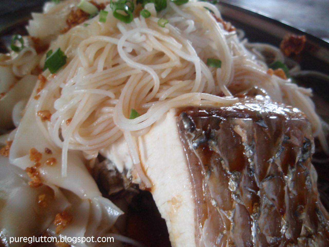 [PenangAug09+097.jpg]