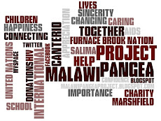 Malawi Pangea Project Wordle