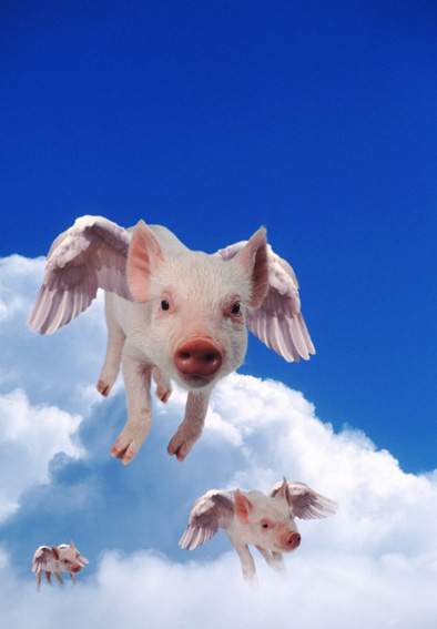 Pigs Might Fly Epub-Ebook