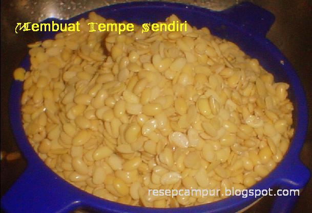 [tempe9.JPG]