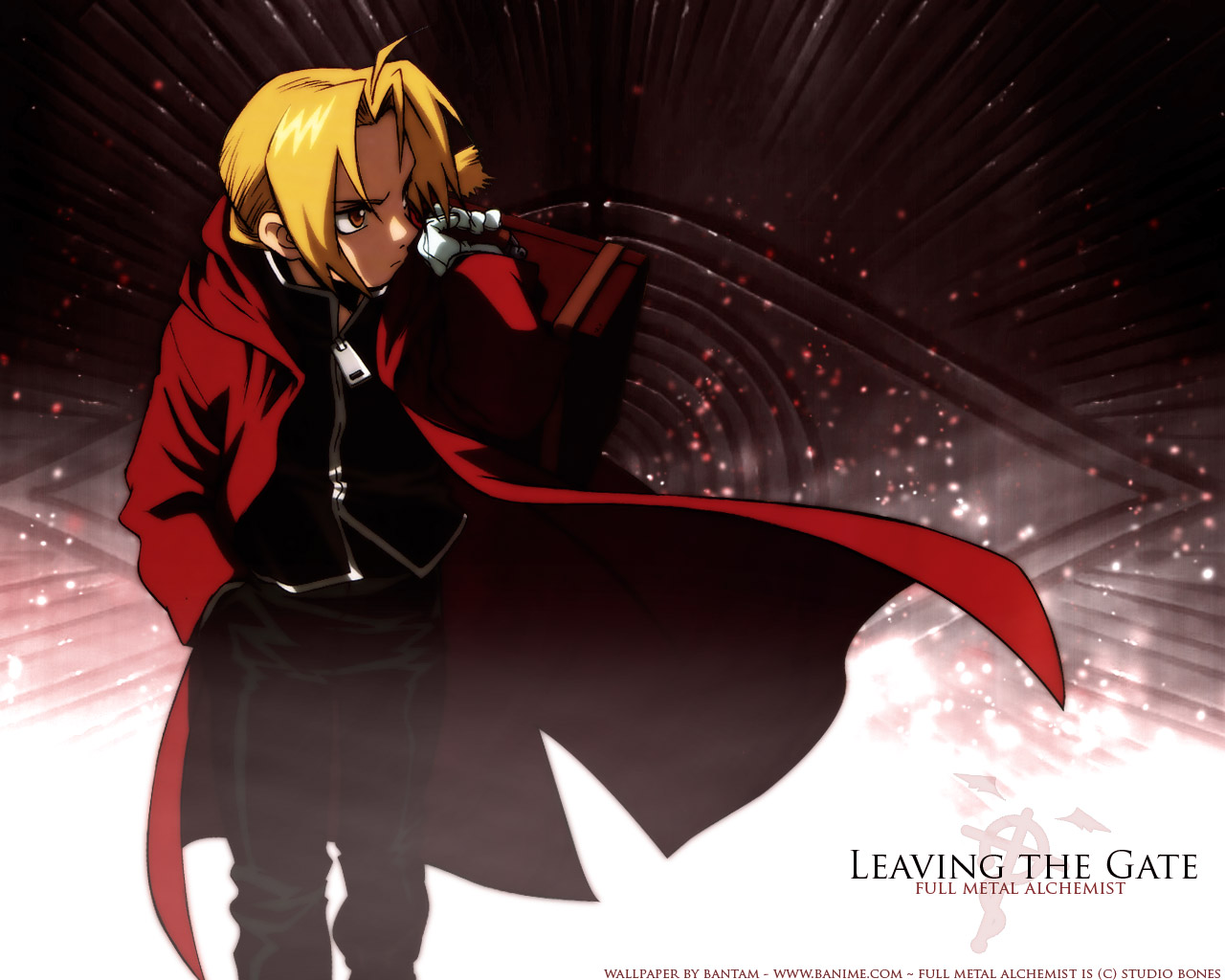 Fullmetal alchemist dante. Стальной алхимик 2003 данте. Лайла стальной алхимик. Стальной алхимик киборг. Стальной алхимик 2.