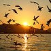 rhodes sightseeings,rodos sights,rhodes bars