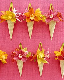 [a98806_sp05_cones_l.jpg]
