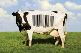 [Food+Inc..jpg]