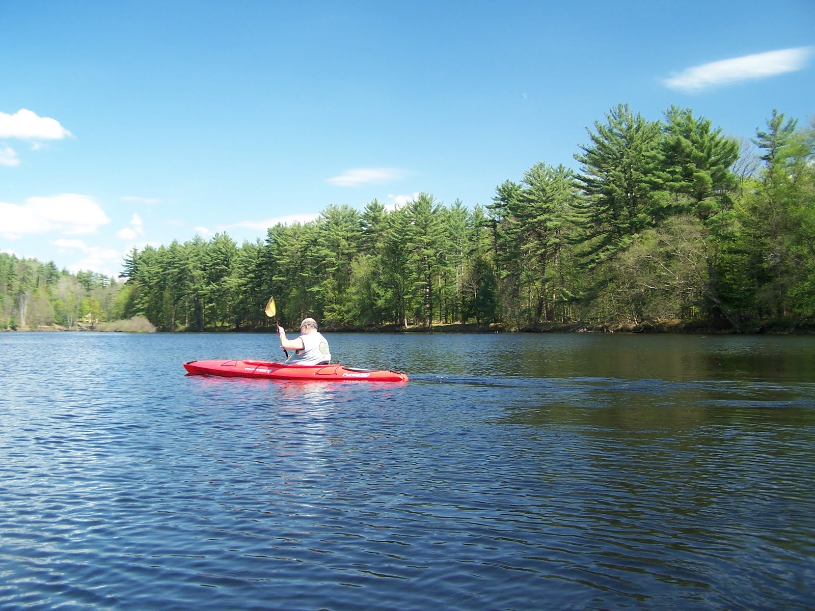 Quiet Kayaking in New York State Moose River Convergence with Black