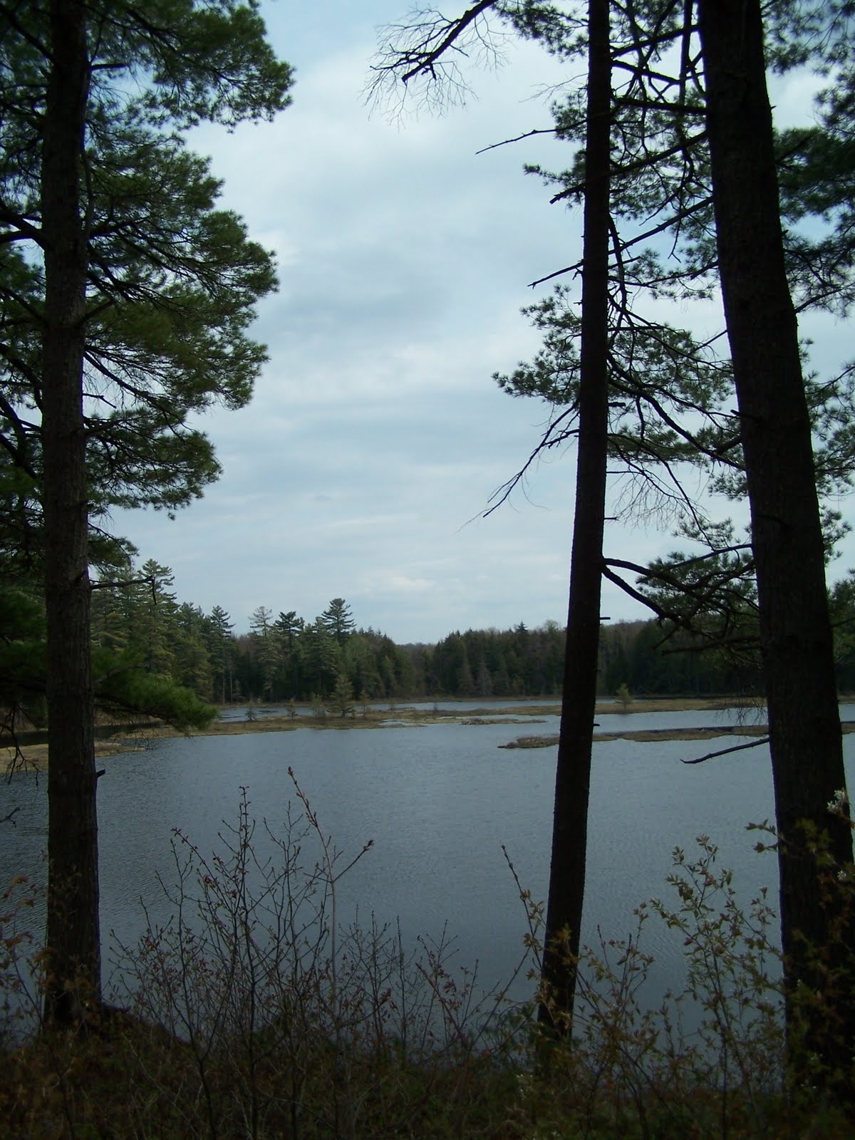 Quiet Kayaking in New York State Francis Lake, part one