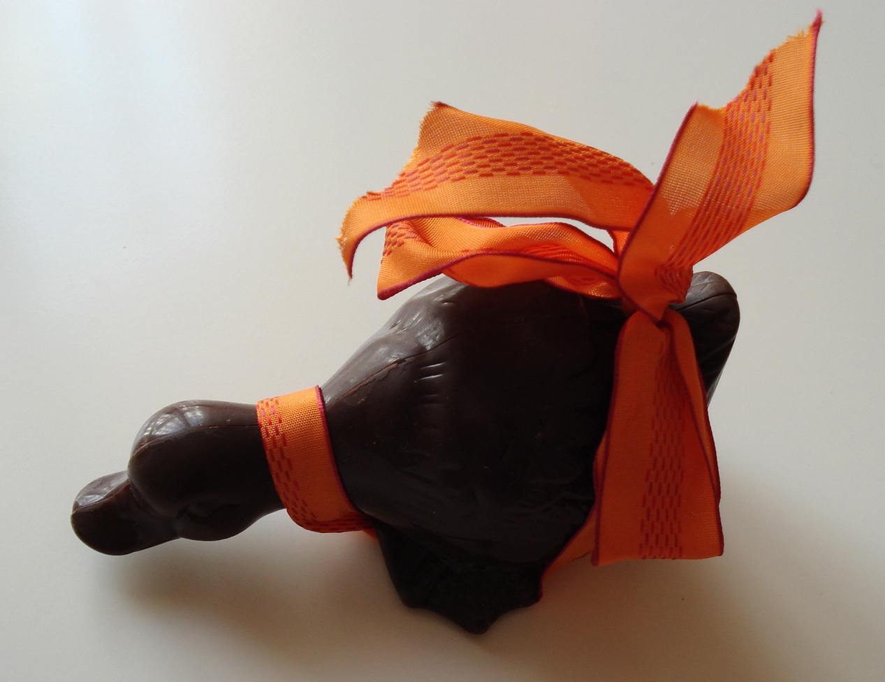 [canard+choco.JPG]