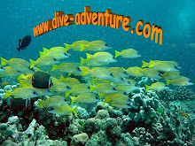 Webpage - dive-adventure