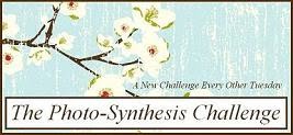 The Photo Synthesis Challenge