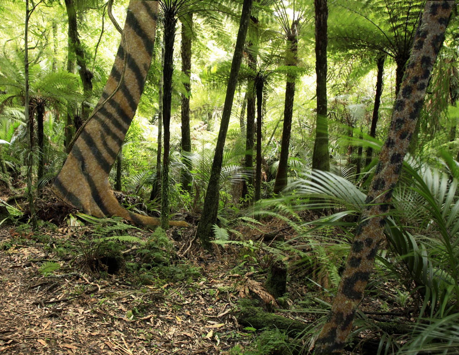 Ski, Snow, and Everything Else: Texture Changes In a Jungle