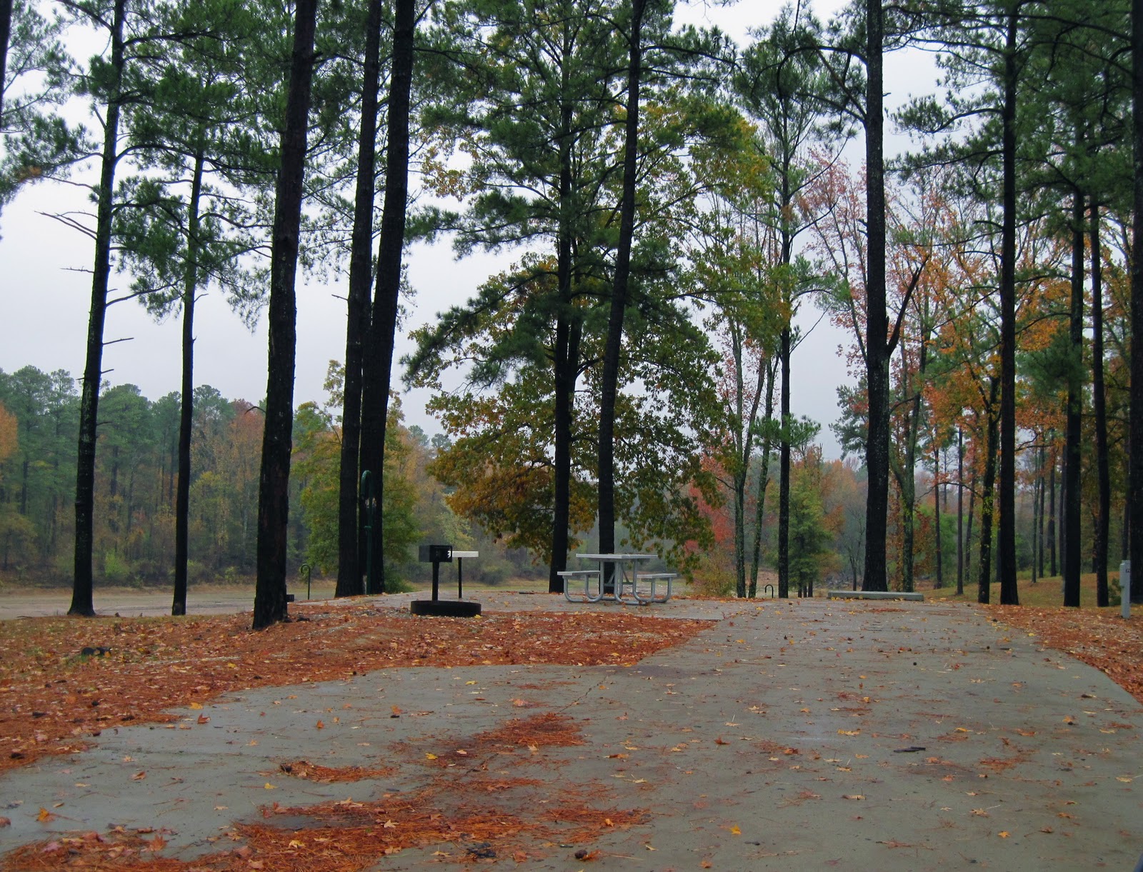 Where's Eldo? Arkabutla, Mississippi