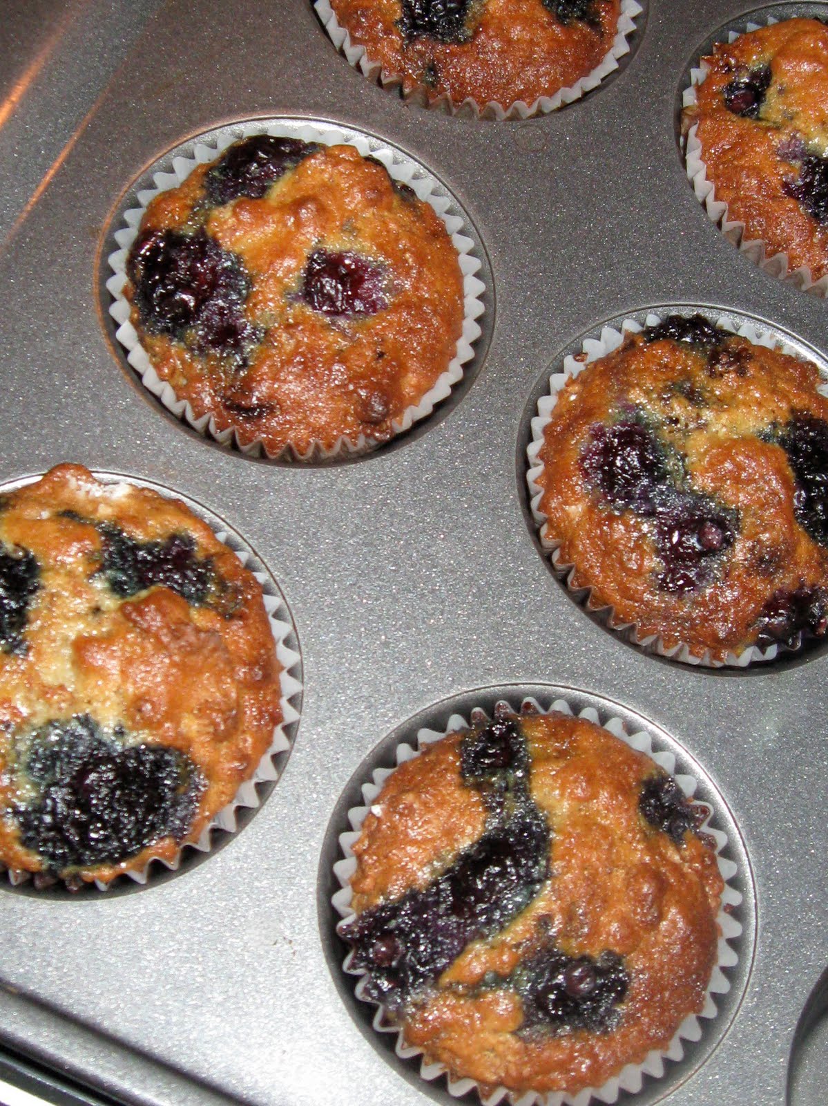 refrigerator raisin bran muffins