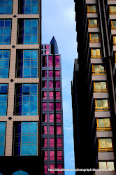 Abu Dhabi Daily Photograph Get the BIGGER picture: June 2010