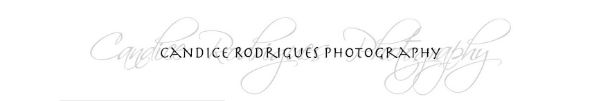 Candice Rodrigues Photography