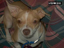 Presenting Queen Tudi...