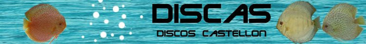 DISCAS                Discos Castellon