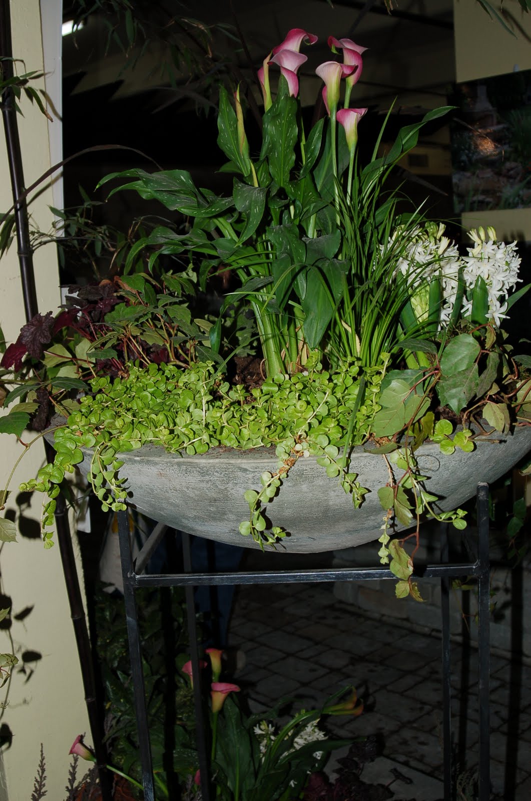 bwisegardening Day 74 What's in the Pot for the Nashville Lawn and