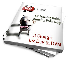 5K Training Guide Running With Dogs