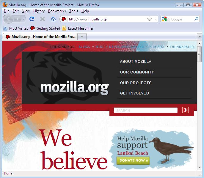 Mozilla 4.0