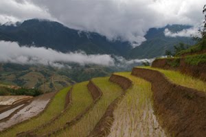 21 días por Vietnam y Camboya - Blogs de Vietnam - 21 días por Vietnam y Camboya (2)