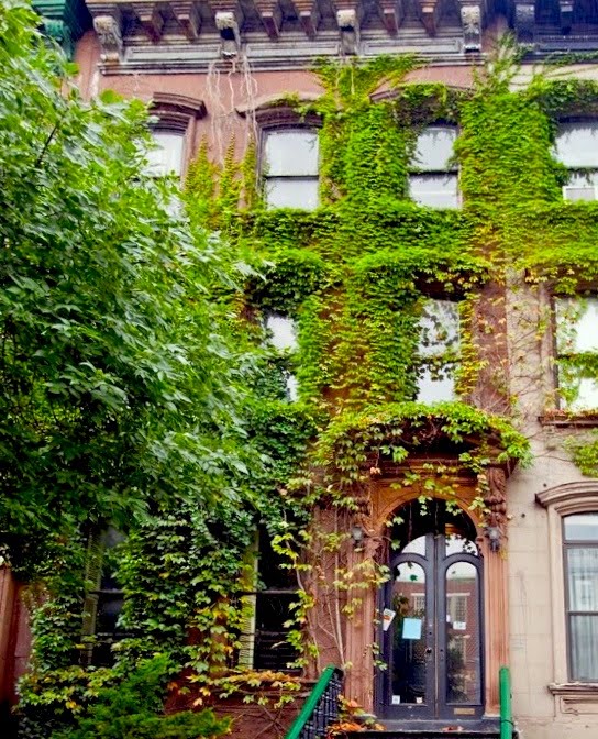 H A R L E M + B E S P O K E ☞ DWELL The Langston Hughes House Returns