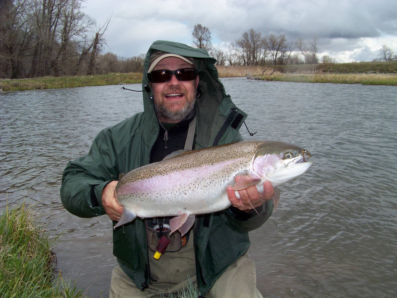 Alberta Fly Fishing: May Report Crowsnest /Oldman River
