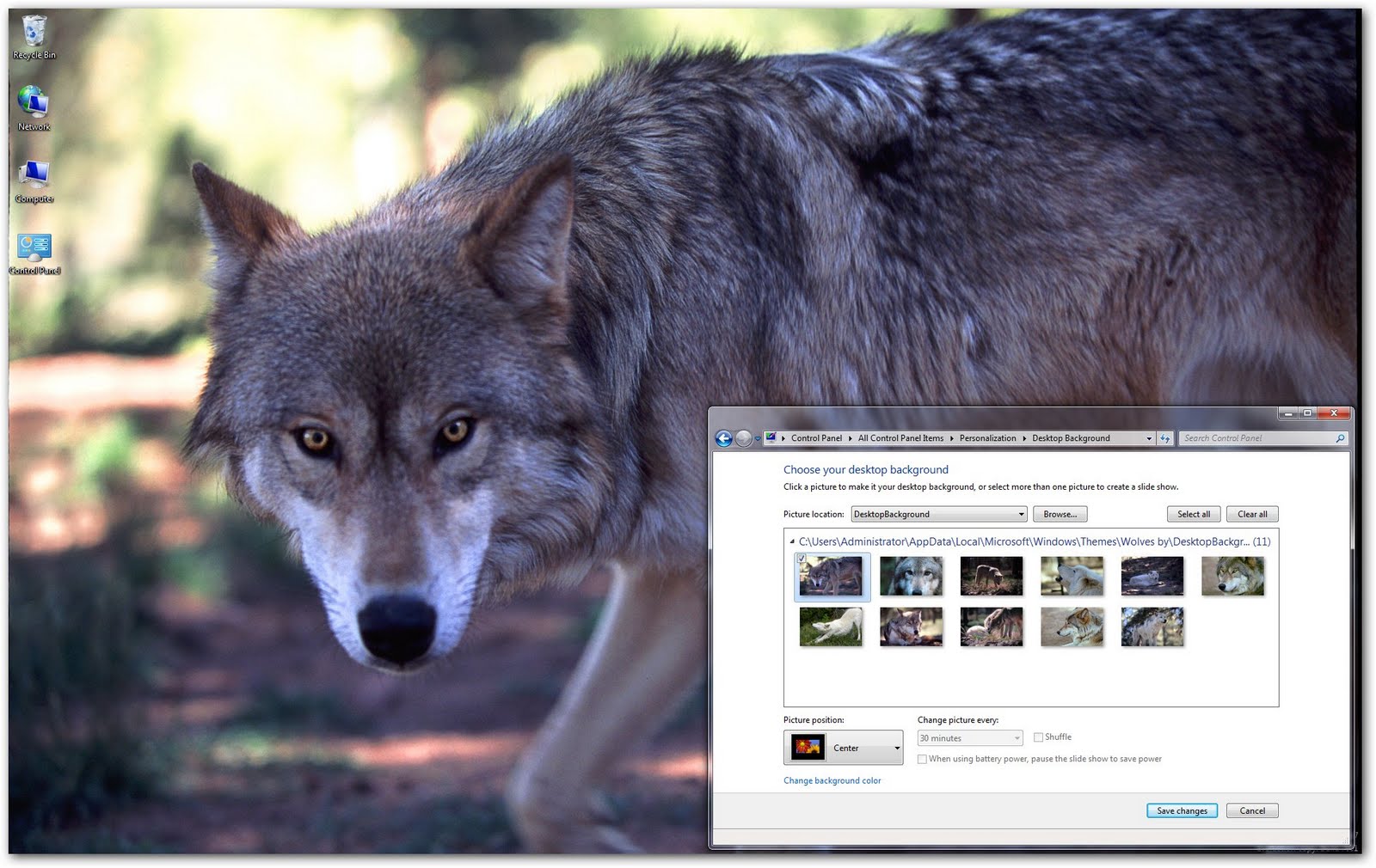 Виндовс 7 зверь. Windows волк. Виндовс с волком. Windows XP волк. Windows 10 волк.