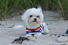 at the beach