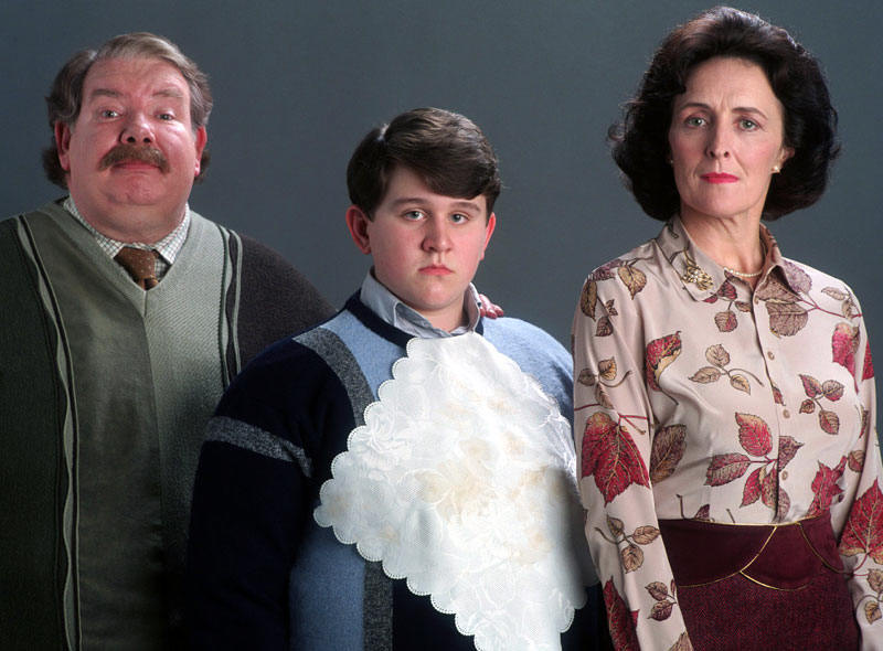 Harry Potter The Dursleys