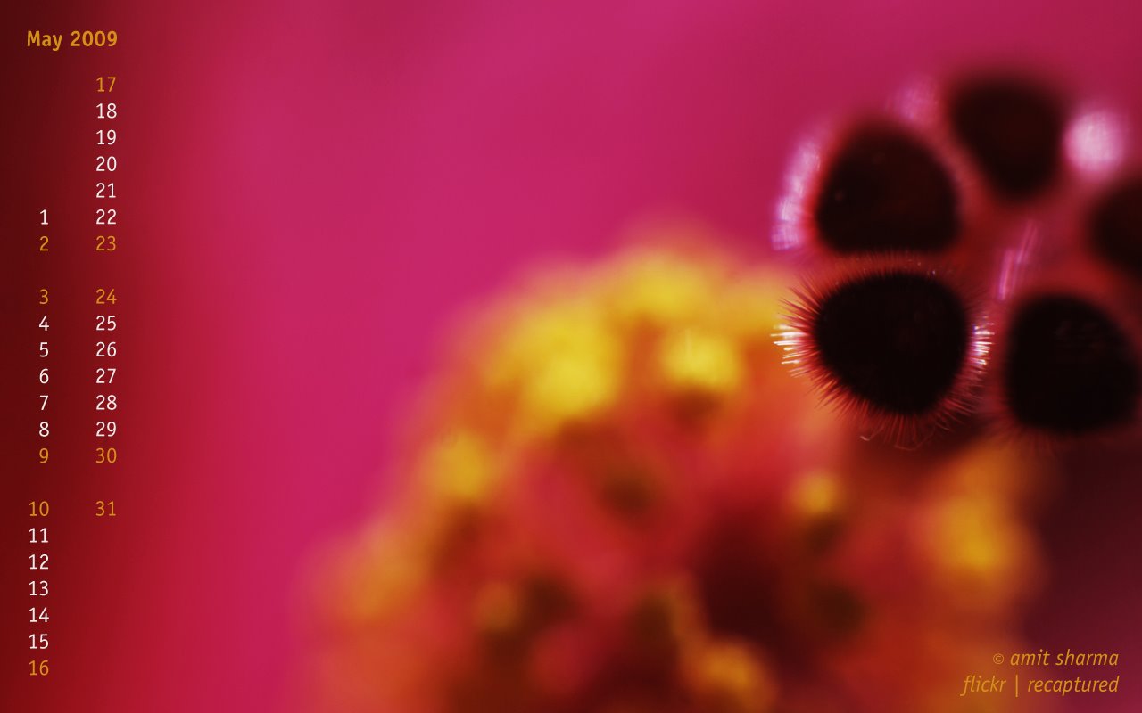 [wallpaper.jpg]