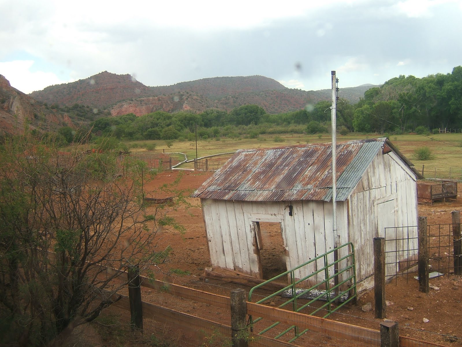 [2009_0620JUNE-JULY090156.JPG]