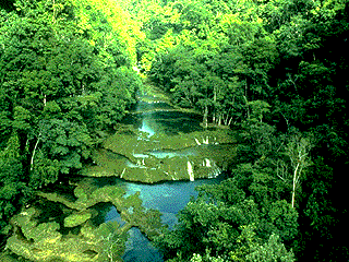 Guatemala Tierra De Cultura Tradicion Y Tamales