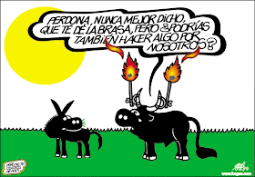 erección persistente provoca peso del perro
